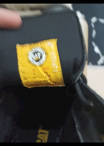 Erkek Cat bot - Görsel 2