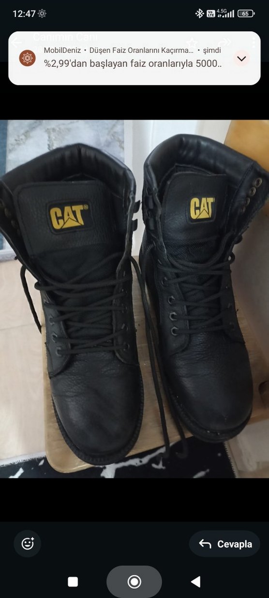 Erkek Cat bot - Görsel 3