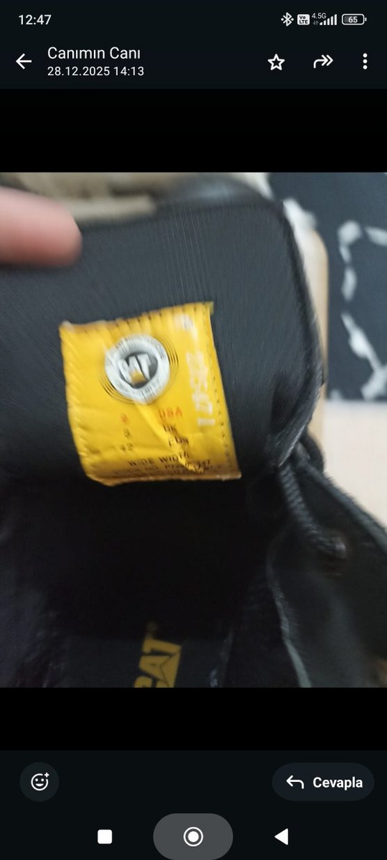 Erkek Cat bot - Görsel 2