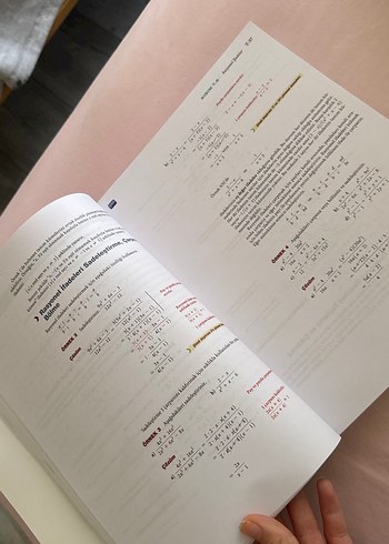 Kalkülüse Giriş - Grafikler ve Modeller - Görsel 2