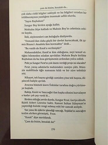 Selman Kayabaşı - Görsel 3