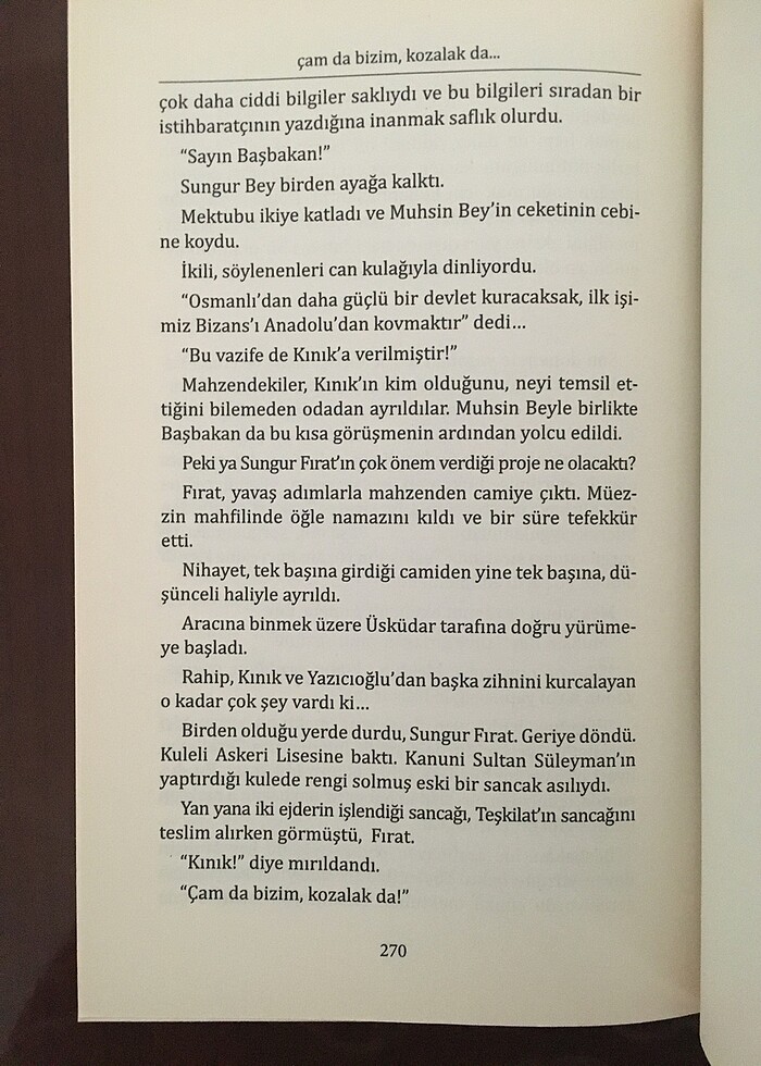 Selman Kayabaşı - Görsel 3