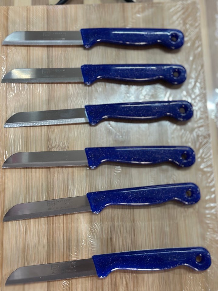 Solingen 6 Parça Koyu Mavi Saplı Bıçak Seti - Görsel 2