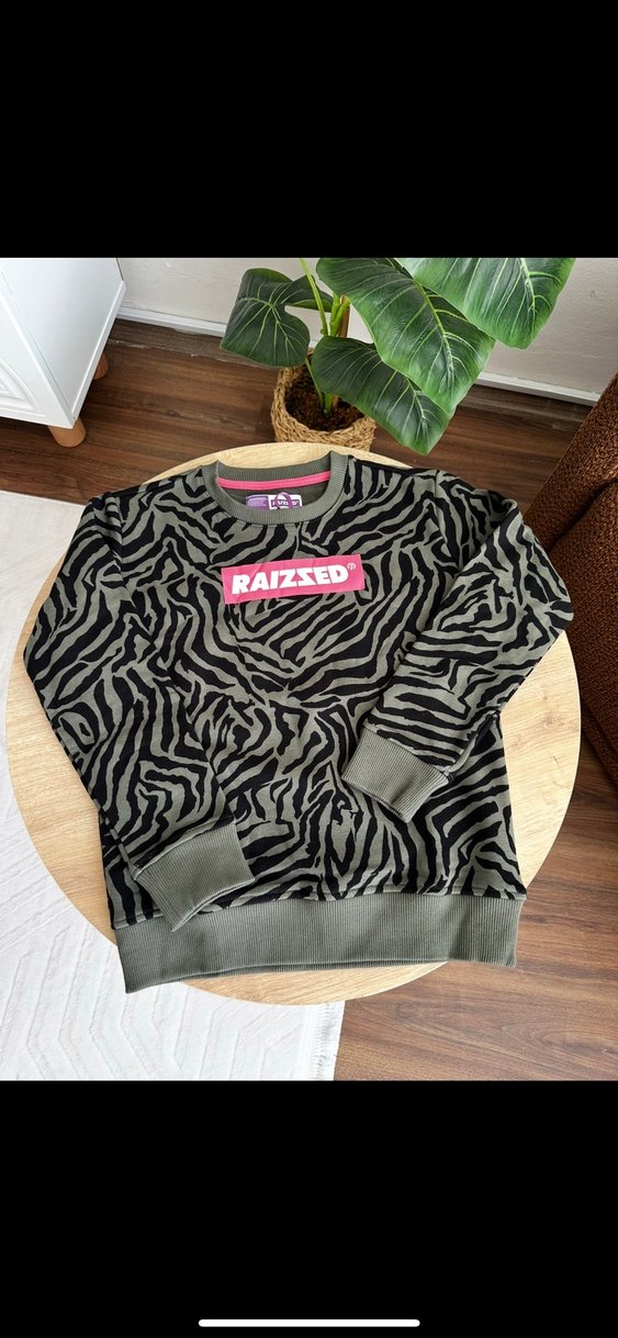 Kız Çocuk Gri Zebra Desenli Sweatshirt - Görsel 3