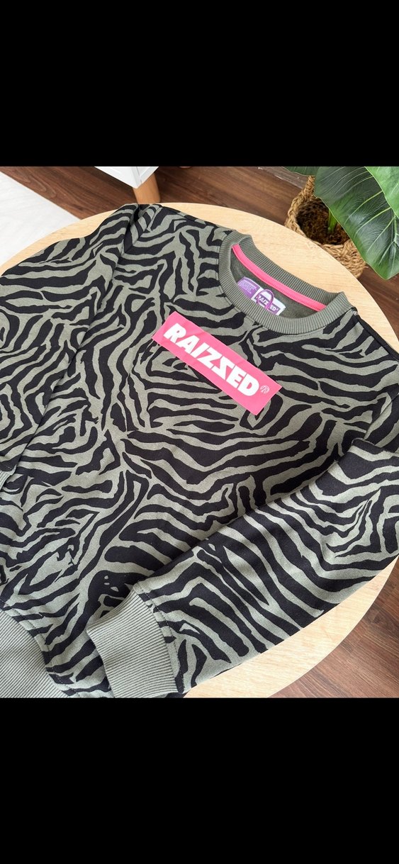 Kız Çocuk Gri Zebra Desenli Sweatshirt - Görsel 2