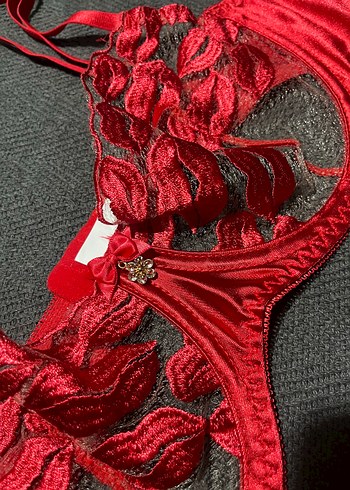 Kırmızı Nakışlı Dantelli Sütyen Takımı - Görsel 2
