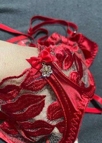 Kırmızı Nakışlı Dantelli Sütyen Takımı - Görsel 8