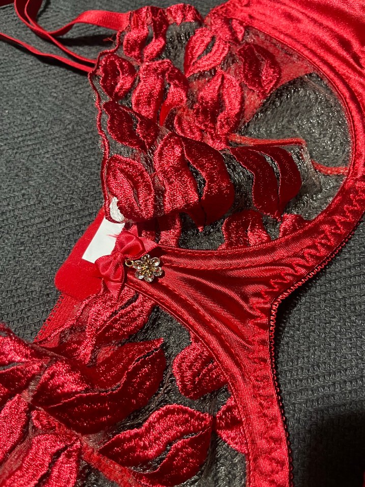 Kırmızı Nakışlı Dantelli Sütyen Takımı - Görsel 2