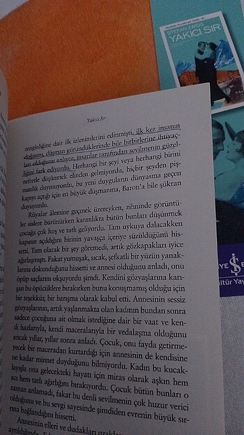  Beden Renk stefan zweig- yakıcı sır, bir zanaatla beklenmedik karşılaşma 