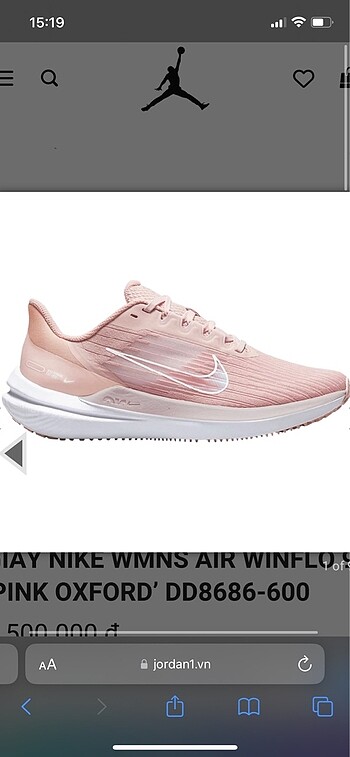 Nike Air Winflo 9