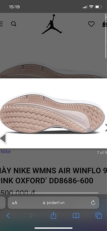 Nike Nike Air Winflo 9