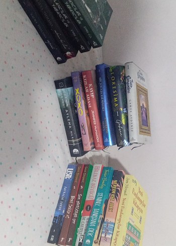 Çeşitli Roman Kitap Seti