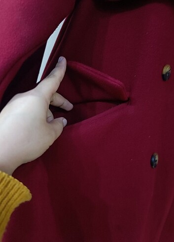 Astarlı kaban  - Görsel 11