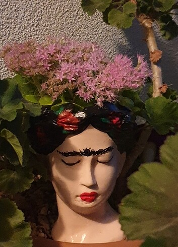 Helen saksı