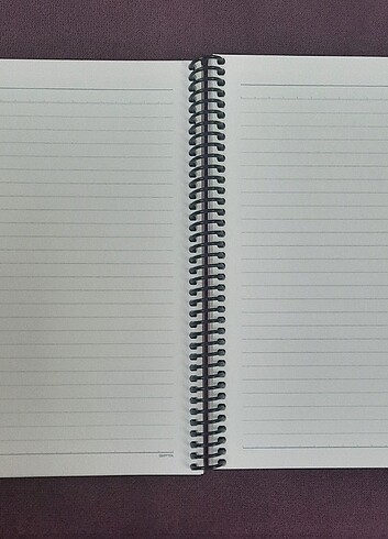 GIPTA 17x24 not defteri ajanda 100 yaprak çizgili - Görsel 5