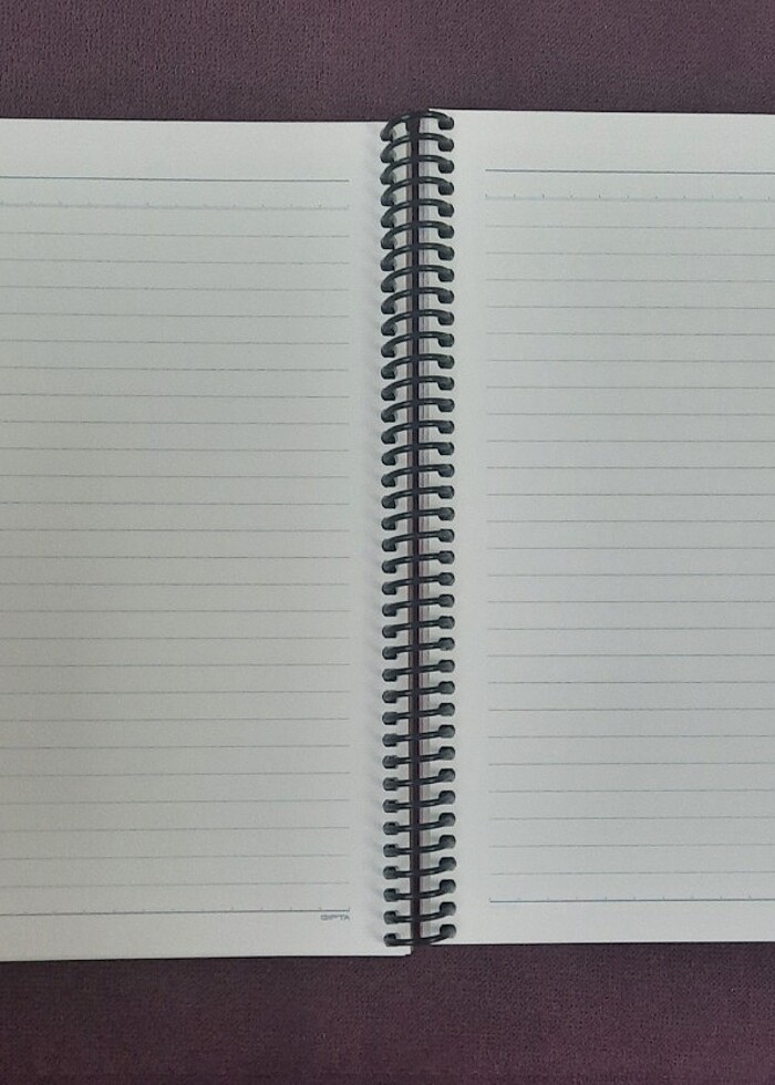 GIPTA 17x24 not defteri ajanda 100 yaprak çizgili - Görsel 5