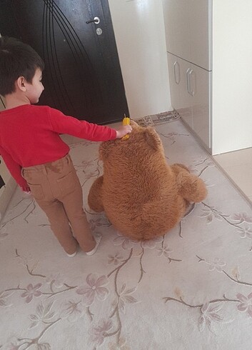 Koca ???? cık