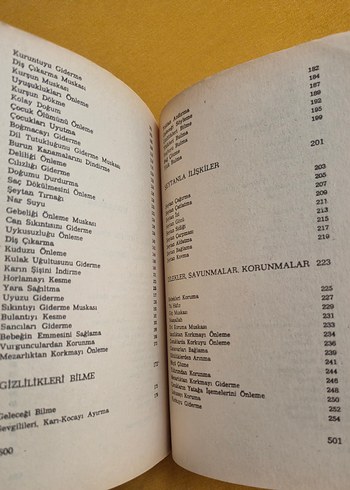 Anadolu Büyüleri - İsmet Zeki Eyuboğlu - Görsel 4