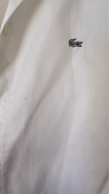 Orjinal Lacoste gömlek - Görsel 6
