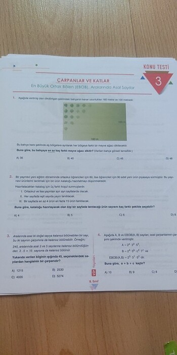 Yaprakları Test 