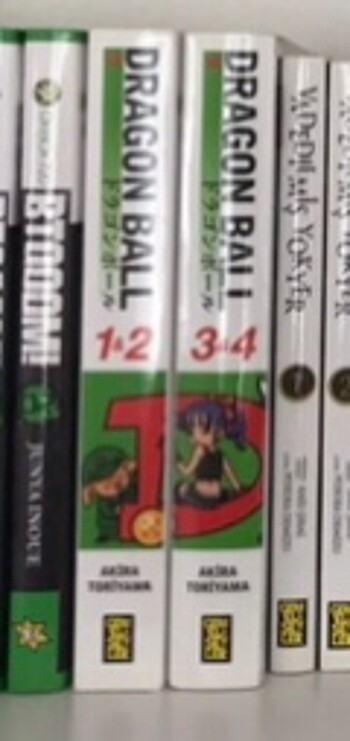 Dragon ball manga