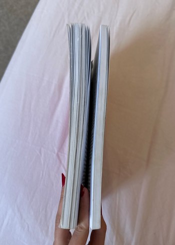 Reader at Work I Kitap - Görsel 2