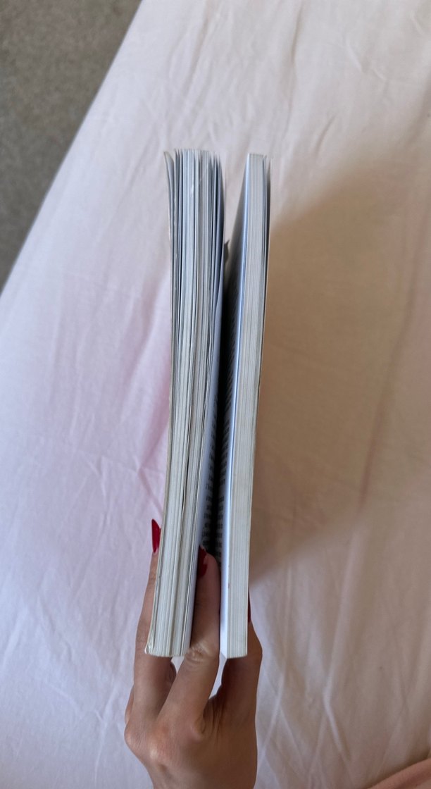 Reader at Work I Kitap - Görsel 2