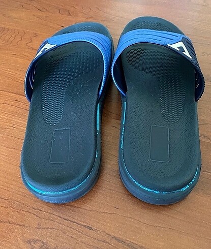 Erkek ev yerliği - Görsel 2