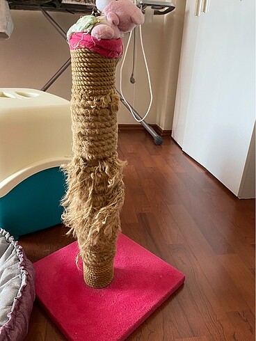  Beden 3 adet kedi seti