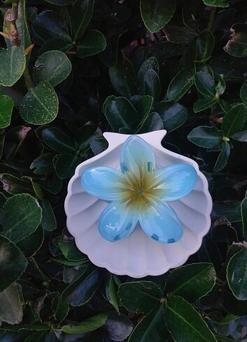  Beden çeşitli Renk Lotus Toka