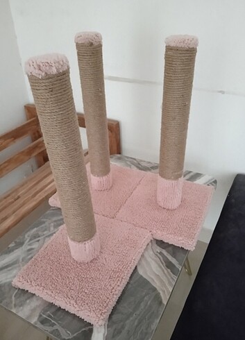 KEDİ TİRMALAMASİ