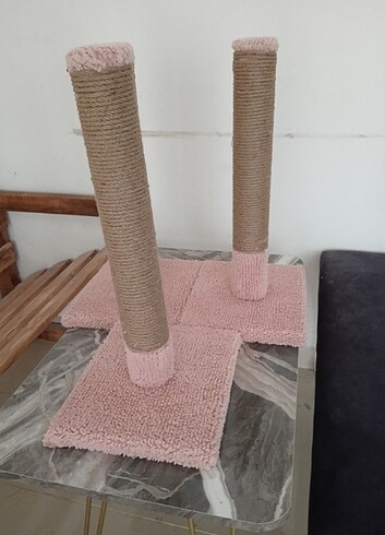 Beden KEDİ TİRMALAMASİ