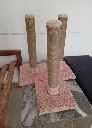 Beden Renk KEDİ TİRMALAMASİ
