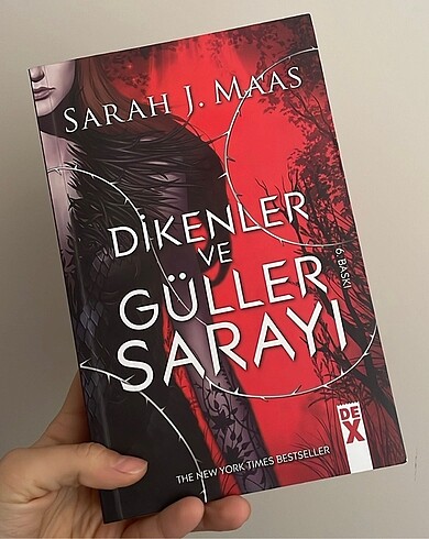 Dikenler ve güller sarayı