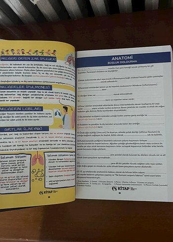 Çocuk Gelişimi 2024 Güncel Kitap - Görsel 3