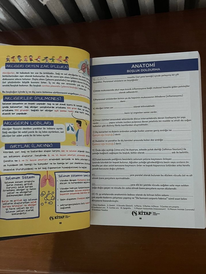 Çocuk Gelişimi 2024 Güncel Kitap - Görsel 3