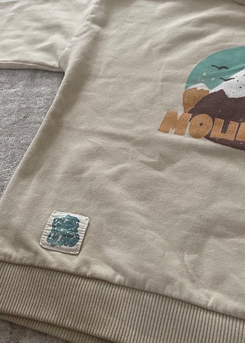5 Yaş Beden ten rengi Renk Kapüşonlu Bej Erkek Çocuk Sweatshirt