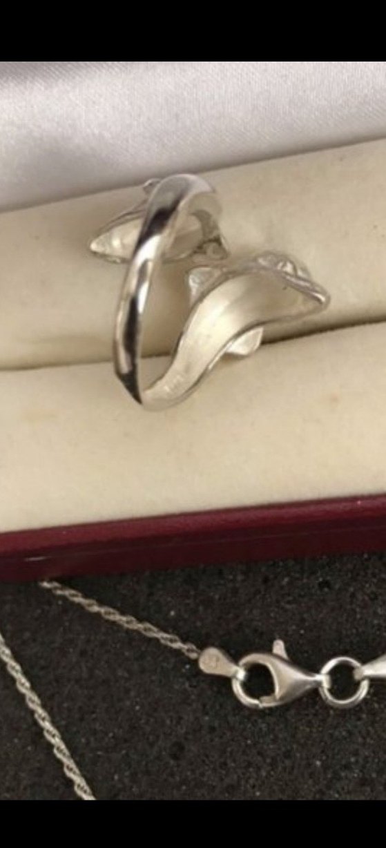 Gümüş takım - Görsel 4