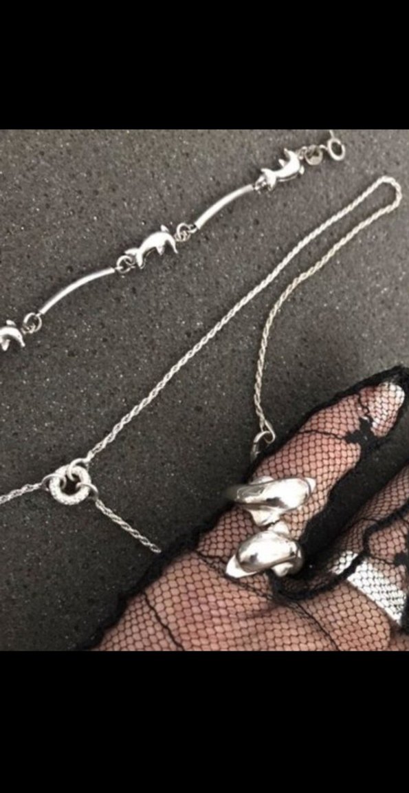 Gümüş takım - Görsel 2