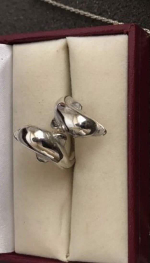 Gümüş takım - Görsel 3