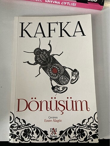 DÖNÜŞÜM KAFKA