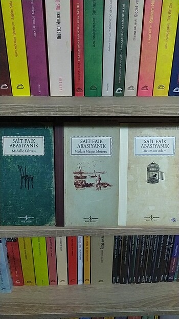 Sait Faik Abasıyanık 