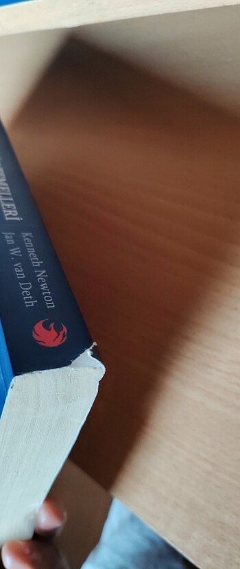 Beden Karşılaştırmalı Siyasetin Temelleri