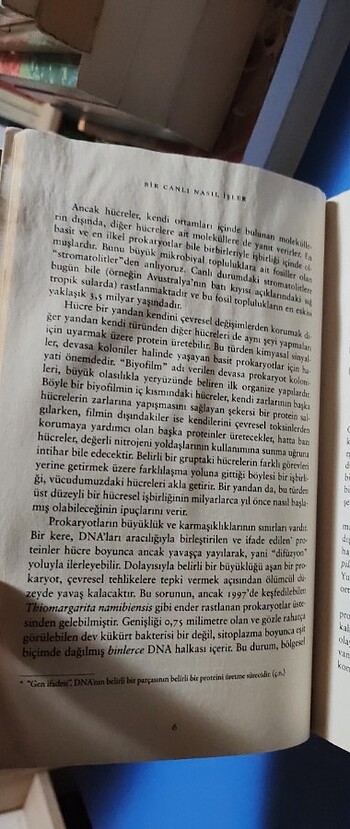  Beden Renk Marcus Chown - Dünya'nın Tüm Dertleri