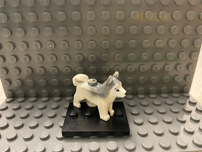 Lego husky köpek