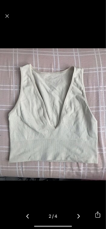 Addax Seamless crop