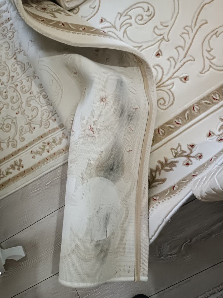 İşlemeli Beyaz Klasik Halı Merinos halı 6 metre - Görsel 5