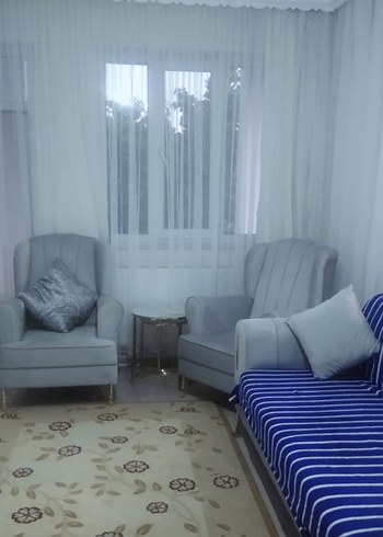 Modern Klasik Beyaz Grek Tül Perde - Görsel 4