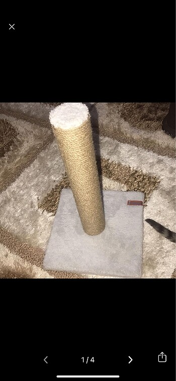 Kedi tırmalama tahtası