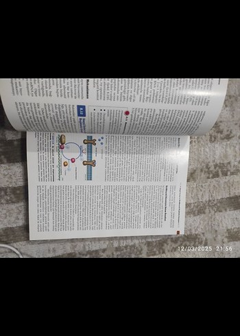  Beden Brock Mikroorganizmaların Biyolojisi Kitabı